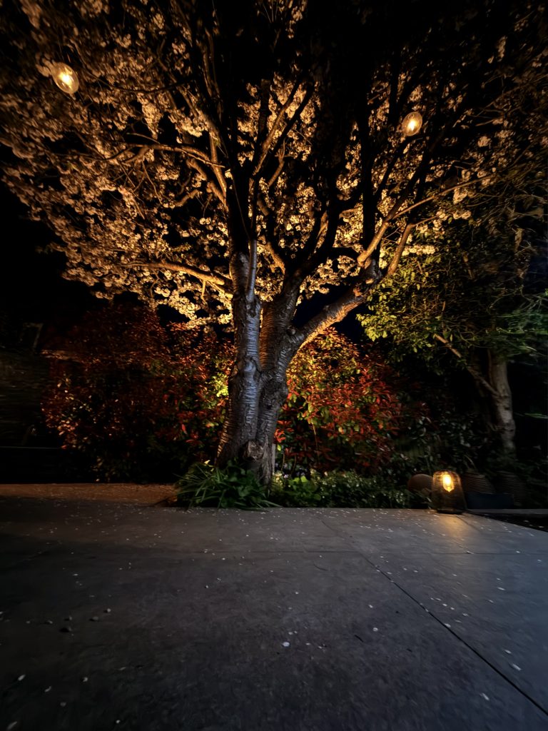 Garden Lighting